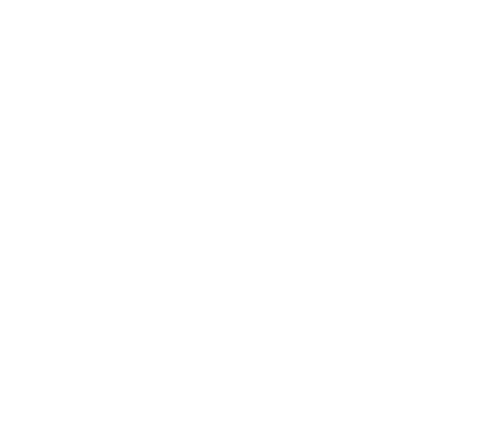CAR PresidentAward Badge WT